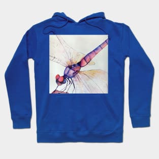 Dragonfly in aquarelle Hoodie